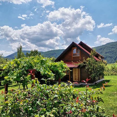 Appartamento Brvnare Stojic Kokin Brod Esterno foto