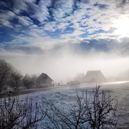 Appartamento Brvnare Stojic Kokin Brod Esterno foto