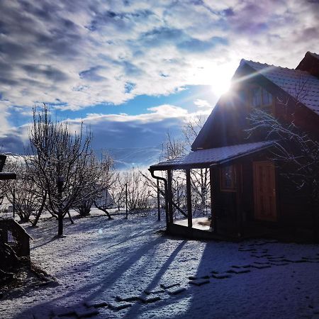 Appartamento Brvnare Stojic Kokin Brod Esterno foto