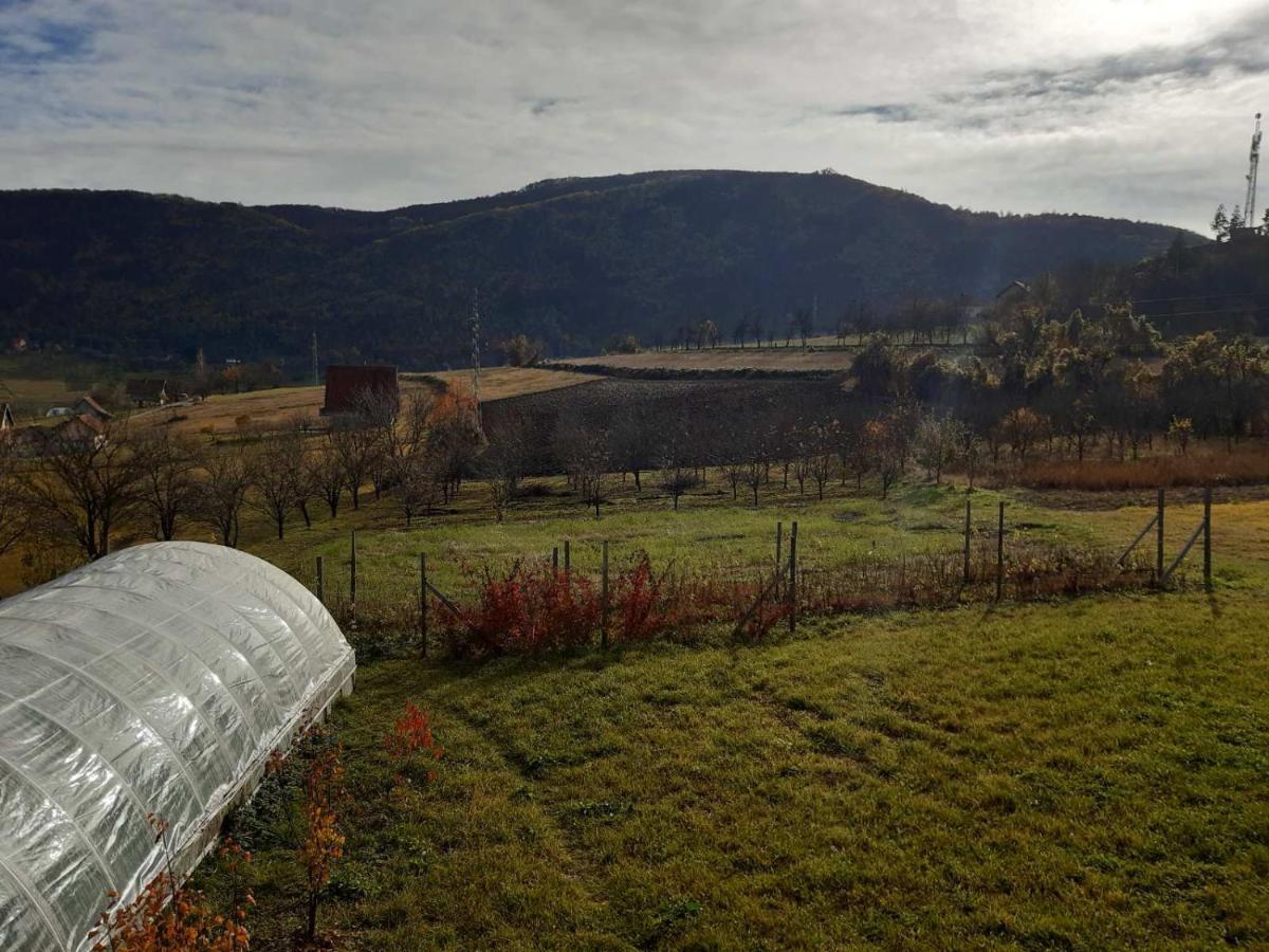 Appartamento Brvnare Stojic Kokin Brod Esterno foto