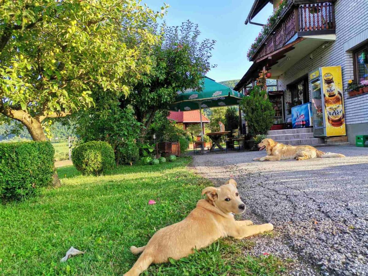Appartamento Brvnare Stojic Kokin Brod Esterno foto
